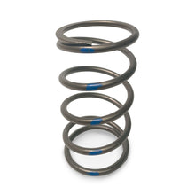 Load image into Gallery viewer, TAPP Primary Clutch Springs