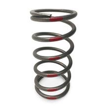 Load image into Gallery viewer, TAPP Primary Clutch Springs
