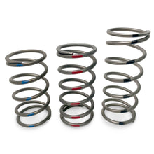 Load image into Gallery viewer, TAPP Primary Clutch Springs — Blue, Black, Red options