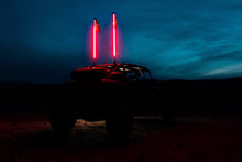 Load image into Gallery viewer, Hyper Color LED Whips – Platinum