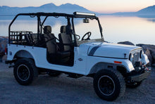 Load image into Gallery viewer, ROXOR Backseat and Roll Cage kit (2018+)