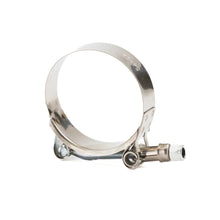 Load image into Gallery viewer, RPM Replacement T-Bolt Clamps
