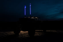 Load image into Gallery viewer, Hyper Color LED Whips – Platinum
